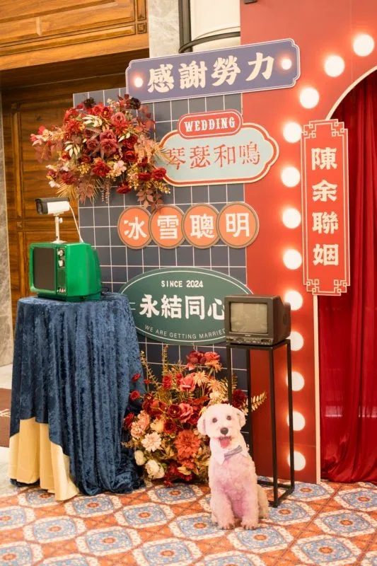 復古風婚禮佈景，紅藍花藝配舊電視與狗狗，呈現溫馨喜慶氛圍。